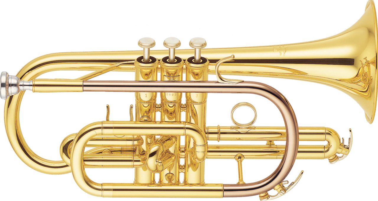 Trompettes | Cornets