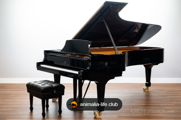 Grand pianos